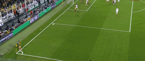 net, ws, bg net, ws, bg